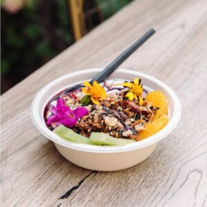 Bagasse Bowls