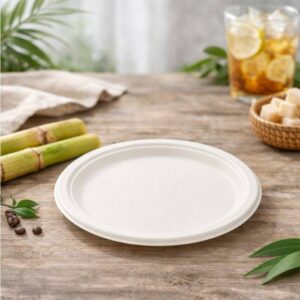 Bagasse Round Plates